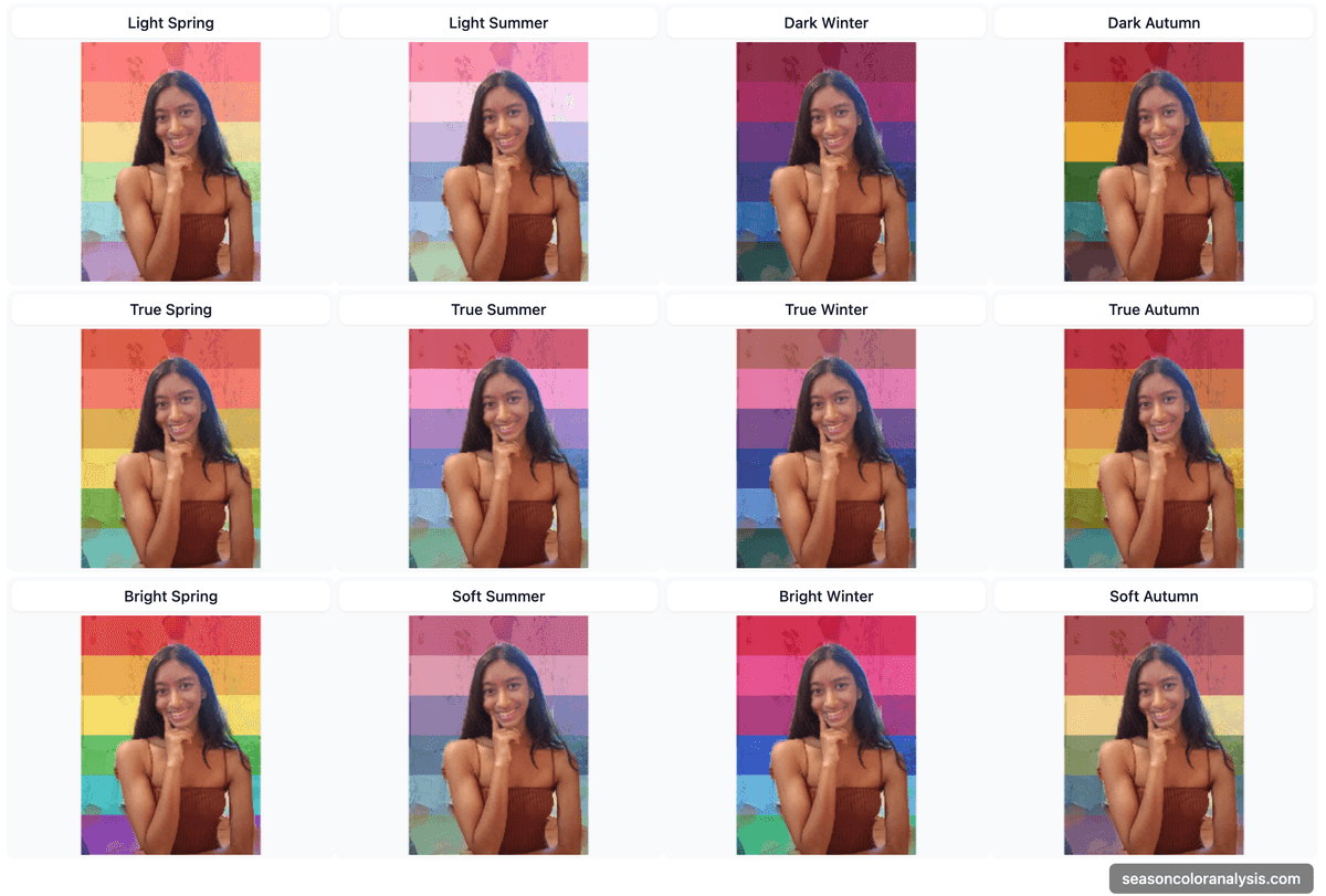 Color Analysis Tool Preview - Side by side seasonal color comparisons